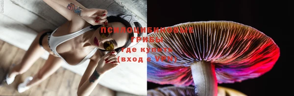 сатива Михайлов