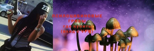 МДПВ Михайловск