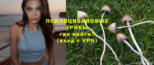 МДПВ Михайловск